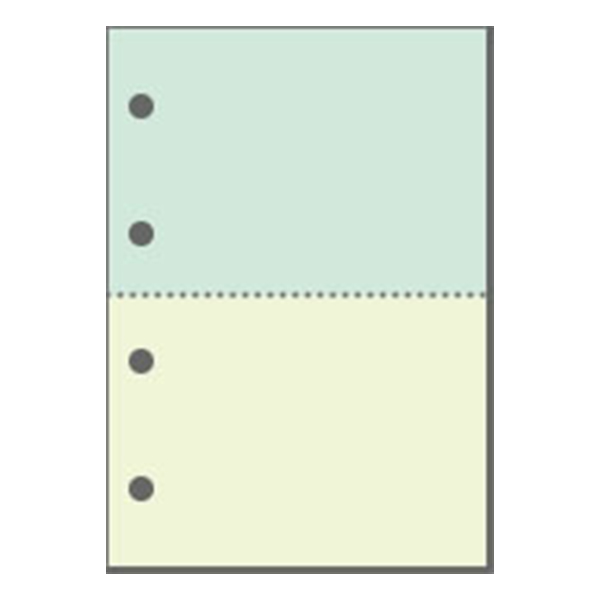 マルチプリンタ帳票 A4 カラー2色2面4穴 KN2402 (1,000枚)