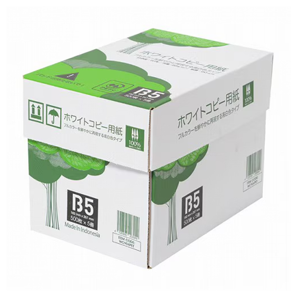 APPJ ホワイトコピー用紙 B5 1箱 (500枚×10冊)